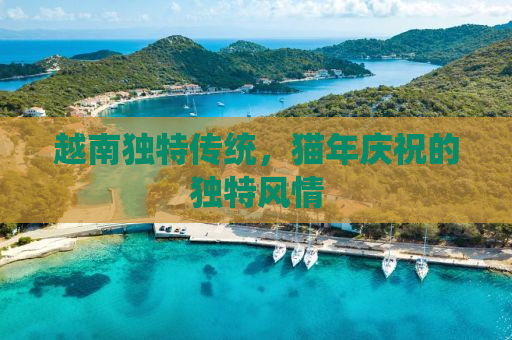 越南独特传统，猫年庆祝的独特风情