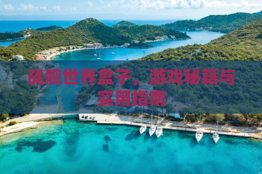战舰世界盒子，游戏秘籍与实用指南