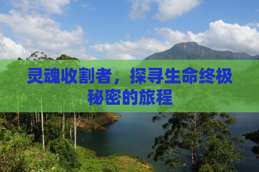 灵魂收割者，探寻生命终极秘密的旅程