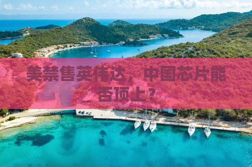 美禁售英伟达，中国芯片能否顶上？