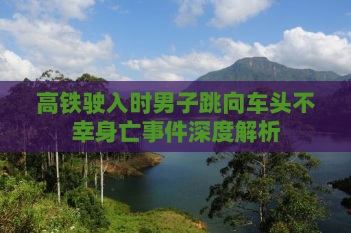 高铁驶入时男子跳向车头不幸身亡事件深度解析