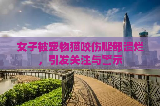 女子被宠物猫咬伤腿部溃烂，引发关注与警示