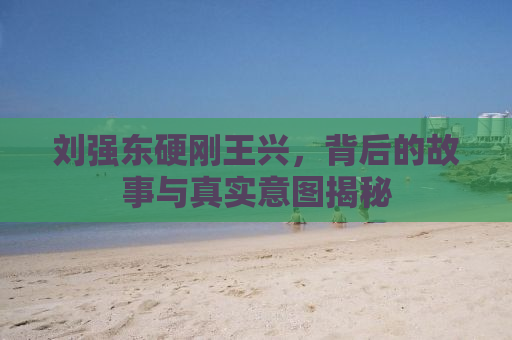 刘强东硬刚王兴，背后的故事与真实意图揭秘