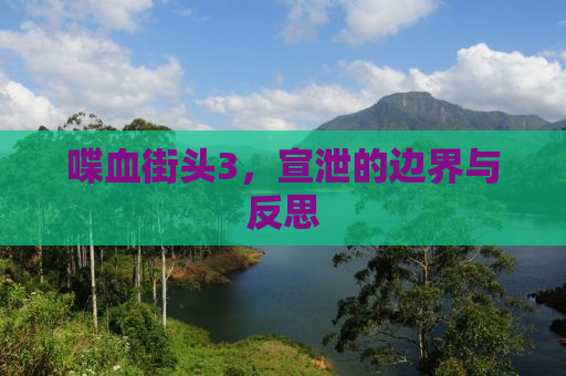 喋血街头3，宣泄的边界与反思
