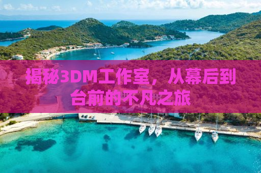 揭秘3DM工作室，从幕后到台前的不凡之旅