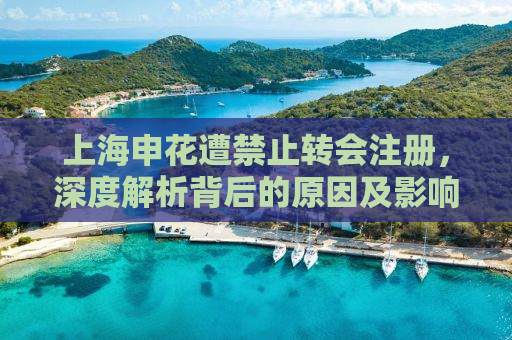 上海申花遭禁止转会注册，深度解析背后的原因及影响
