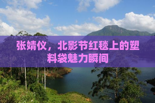 张婧仪，北影节红毯上的塑料袋魅力瞬间
