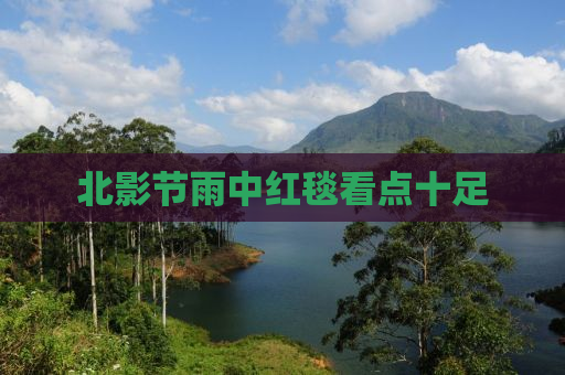北影节雨中红毯看点十足