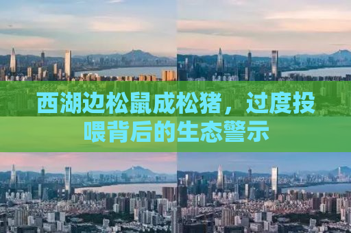 西湖边松鼠成松猪，过度投喂背后的生态警示