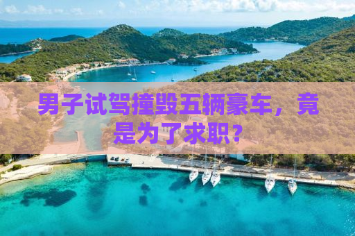 男子试驾撞毁五辆豪车，竟是为了求职？