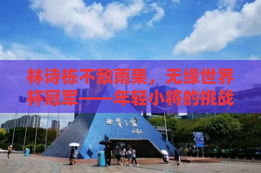林诗栋不敌雨果，无缘世界杯冠军——年轻小将的挑战与未来展望