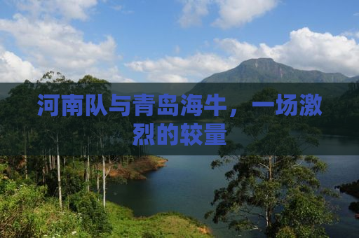 河南队与青岛海牛，一场激烈的较量