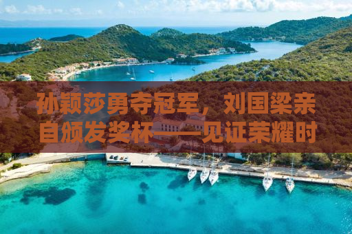 孙颖莎勇夺冠军，刘国梁亲自颁发奖杯——见证荣耀时刻