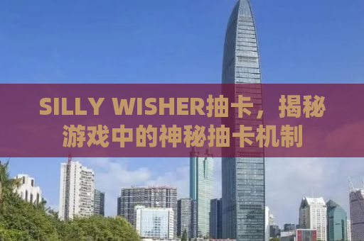 SILLY WISHER抽卡，揭秘游戏中的神秘抽卡机制